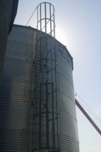 Agribin Grain Silo ladder access